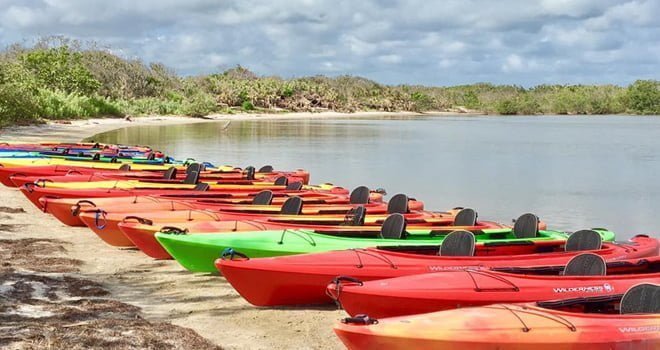 Kayaks and Craft Beer on Paddle and Pint Tours This Summer