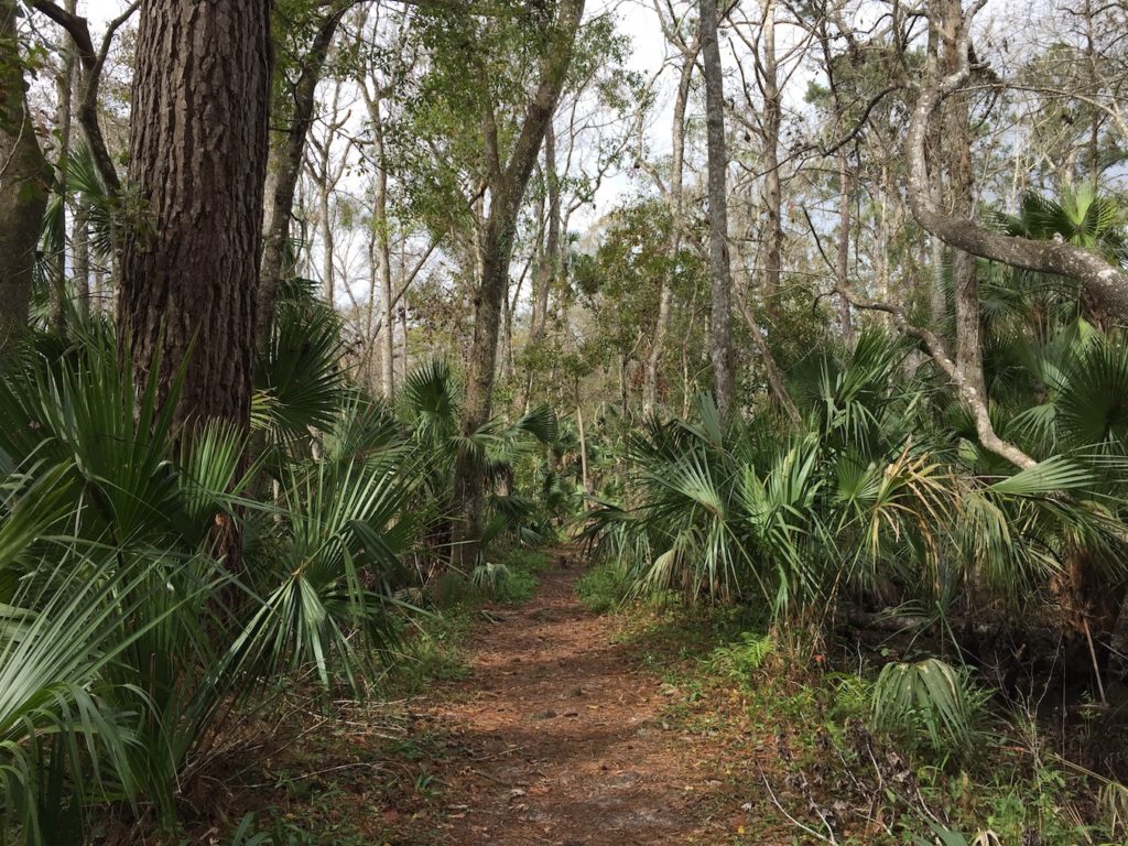 Hiking at De Leon Springs State Park