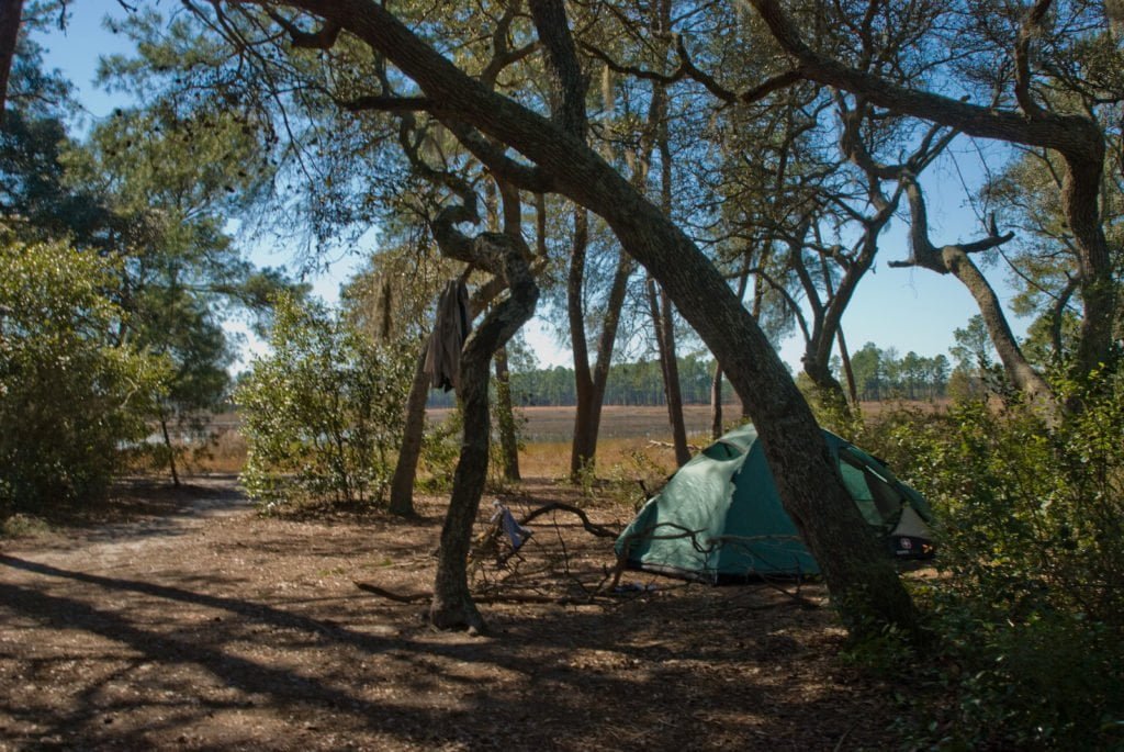 Dispersed camping at Ocala National Forest