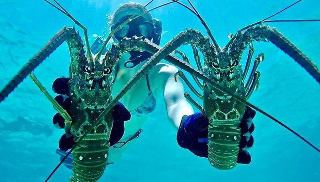 5 Aquatic Date Adventures for Seafoodies