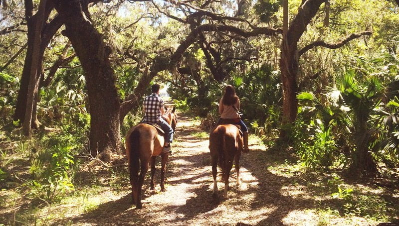 Hidden Palms Ranch private trail rides in Sanford FL