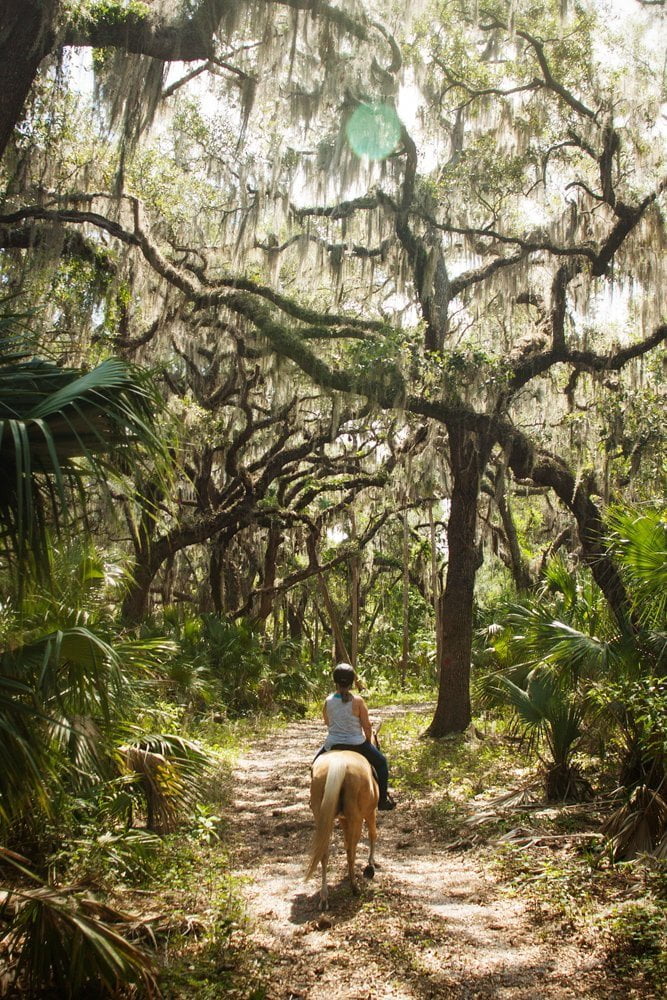 Hidden Palms Ranch Trail Rides in Sanford, FL