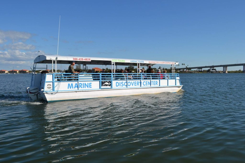 Marine Discovery Center New Smyrna Beach