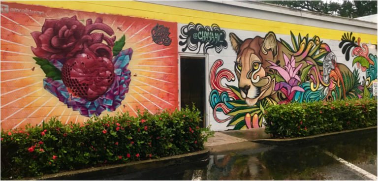 A Self-Guided Street Art Tour of Orlando