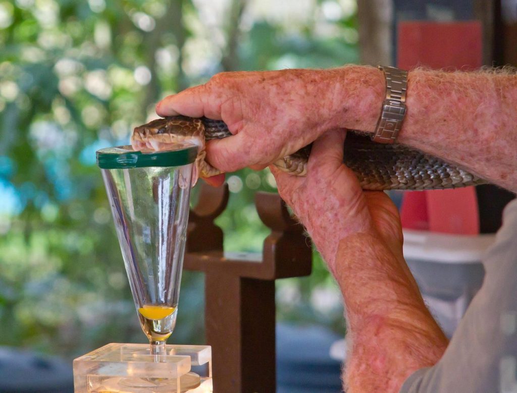 Reptile World Serpentarium - 100 Things to do in Orlando Before You Die