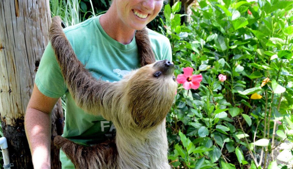 Unique Animal Encounters in Central Florida