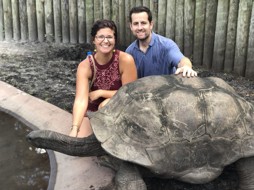 Animal Encounters in Central Florida - ZooTampa at Lowry Park tortoise encounter