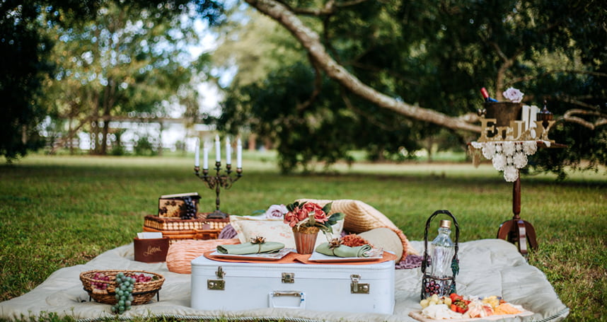 Gourmet Picnic in Orlando for Two with Our Dream Date