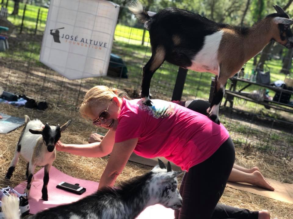 Grady Goat Yoga Tampa Bay