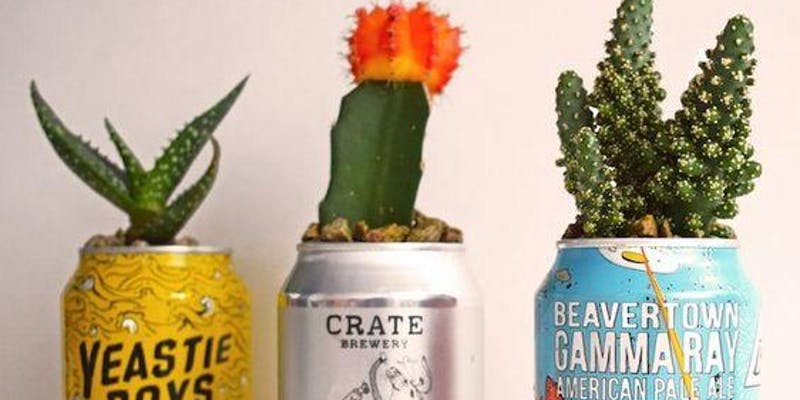 Orlando Workshops and Classes June 2019 - Crafts and Crafts Beer Can Succulent Workshop