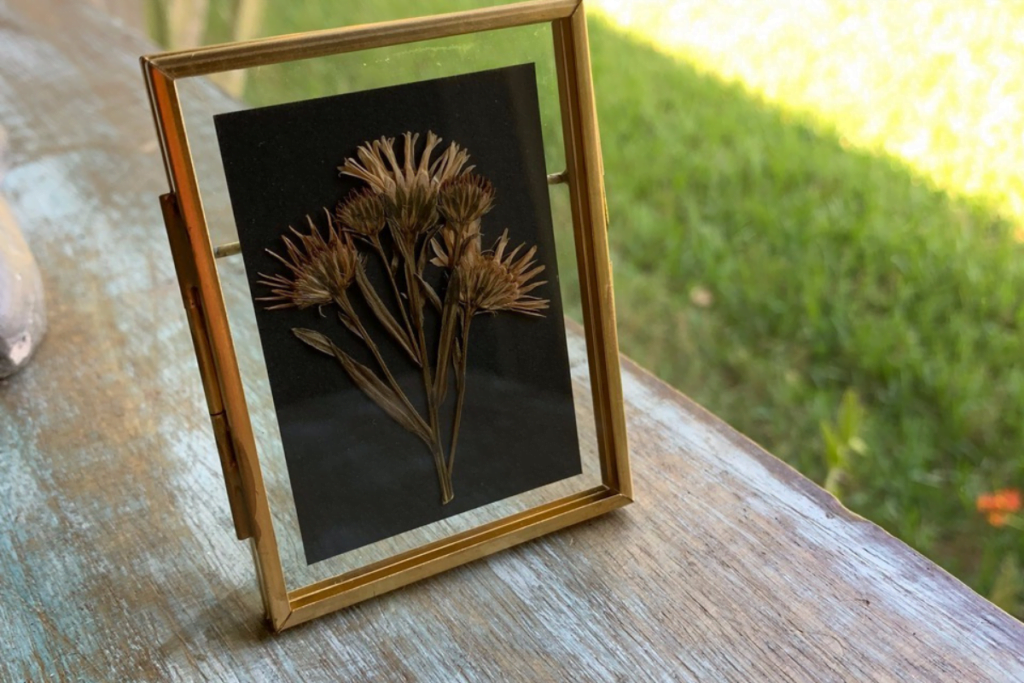 Orlando Workshops June 2019 - Framed Pressed Flower workshop