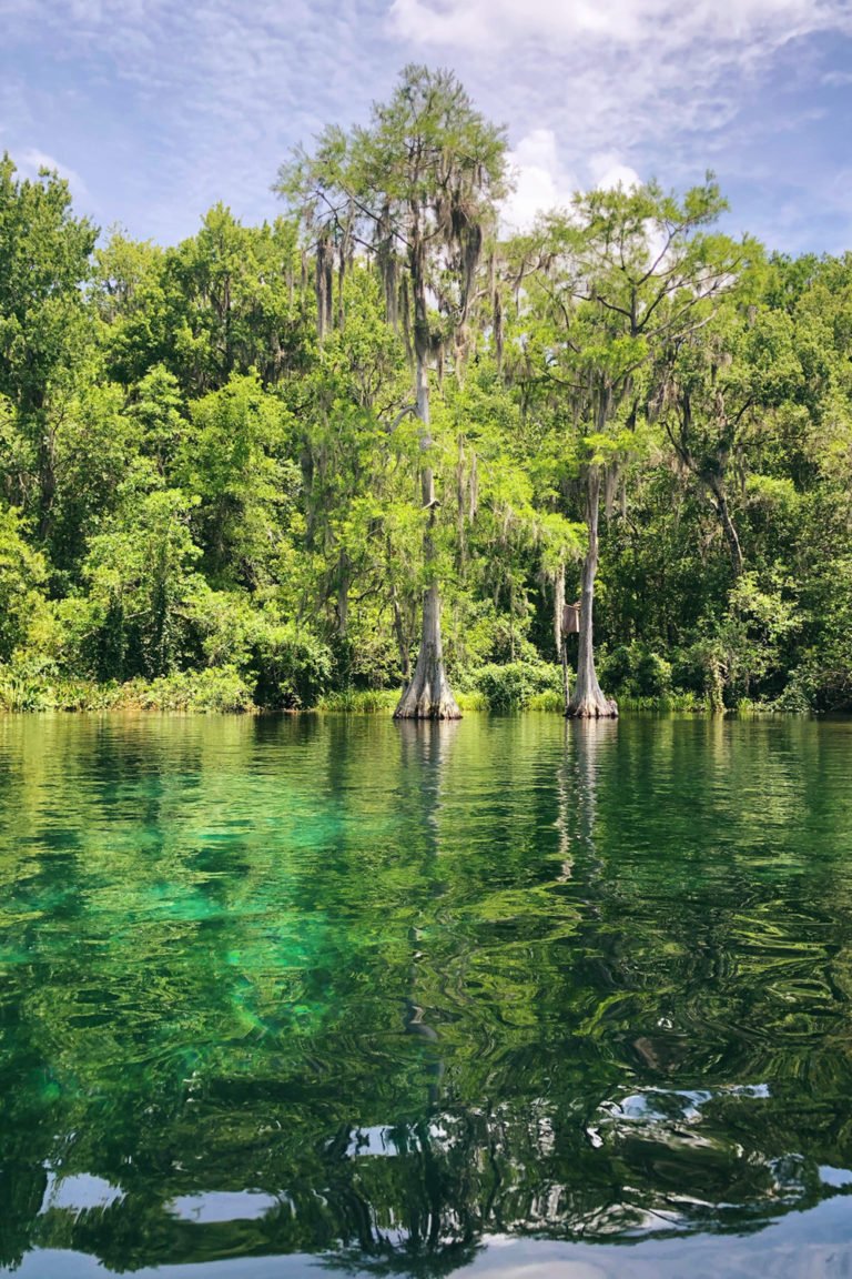 Day Trip Rainbow River Tubing at KP Hole