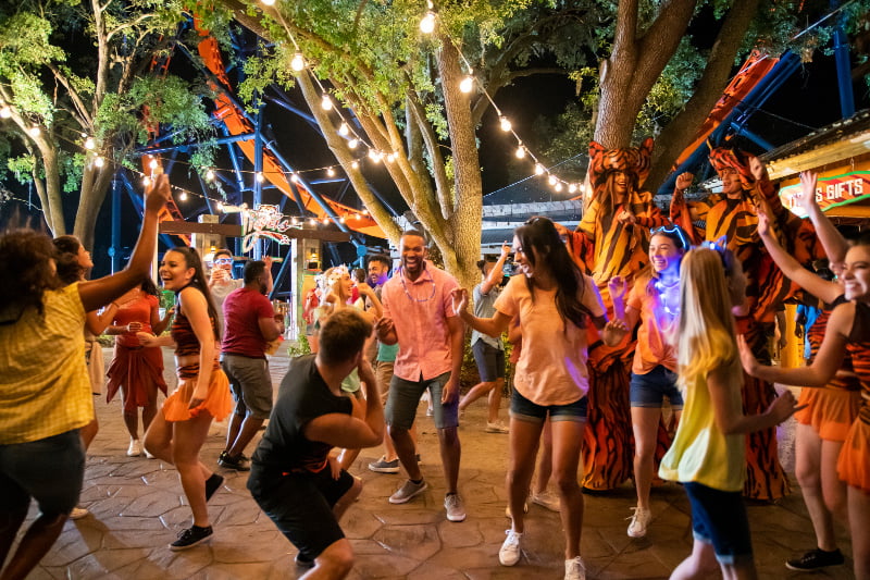 Summer Nights at Busch Gardens