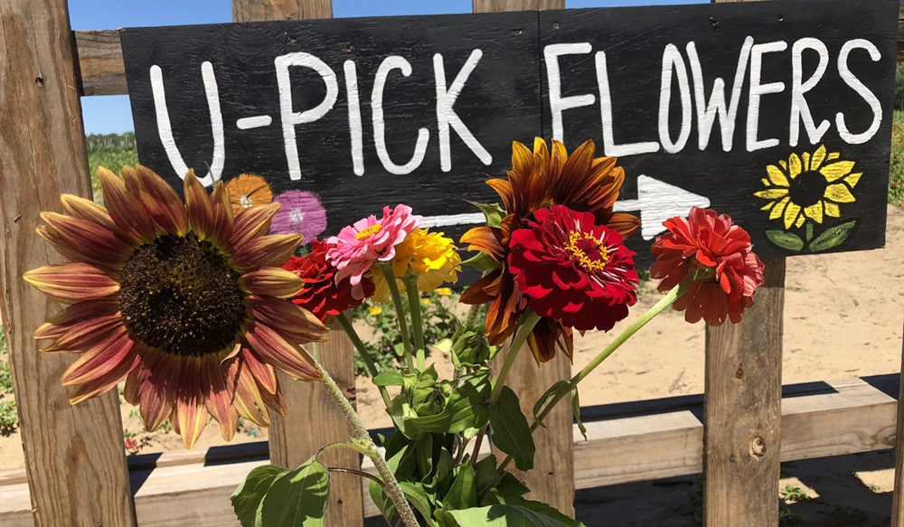 The Perfect Picks Flower Farm