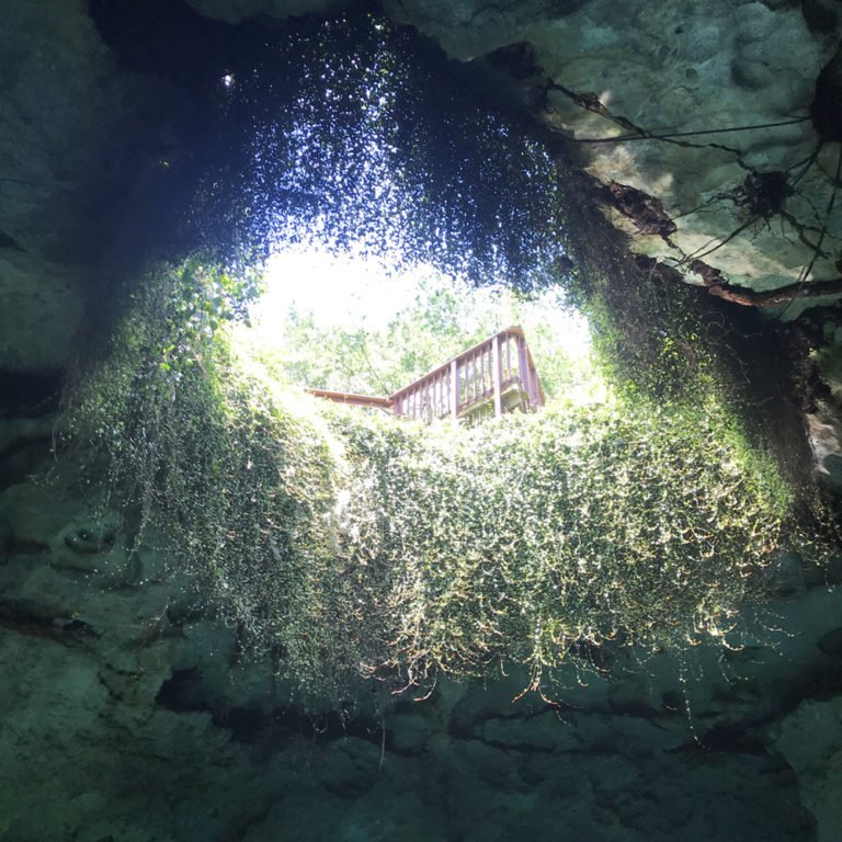 A Day Trip to Devil's Den for Snorkeling and Exploring