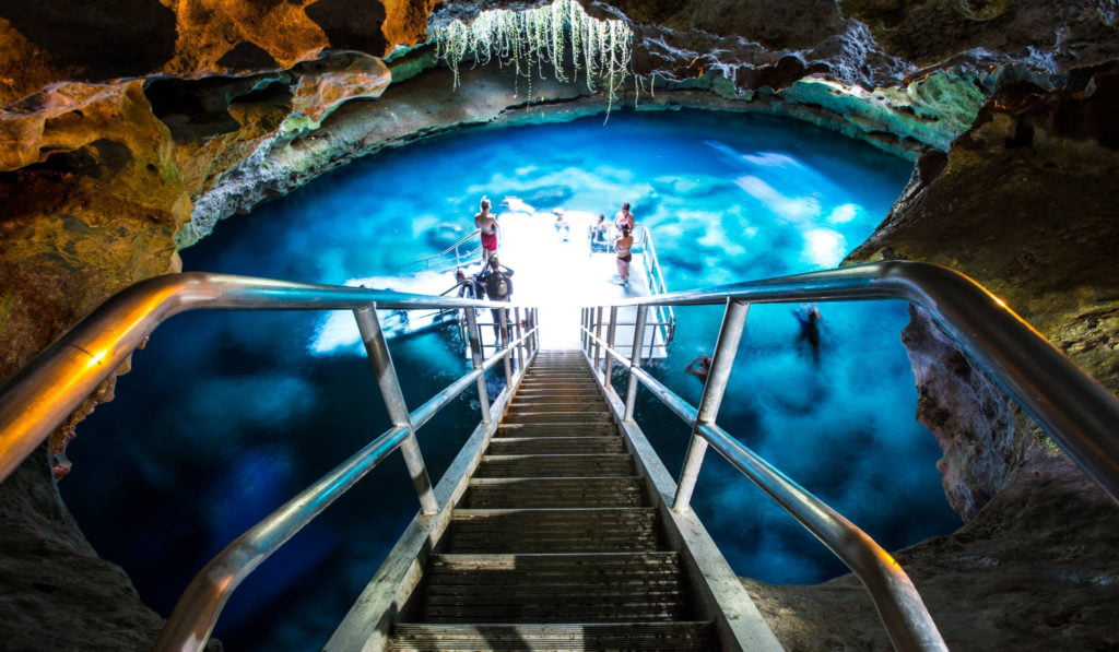 The Devil's Den Florida - The Prehistoric Spring for Snorkeling and Diving 