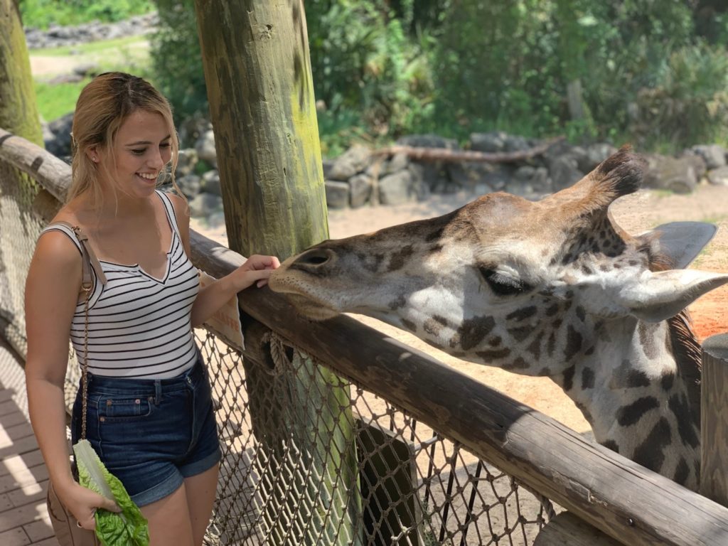 Must-Do Summer Day Trips from Orlando: Brevard Zoo