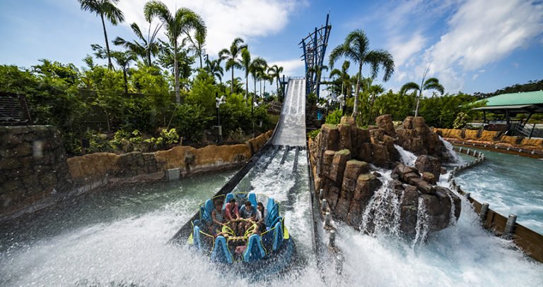 Ride Mako After Dark at SeaWorld Thrill Fest Ride Night Aug 16