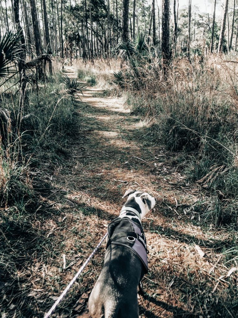 Hiking in Central Florida