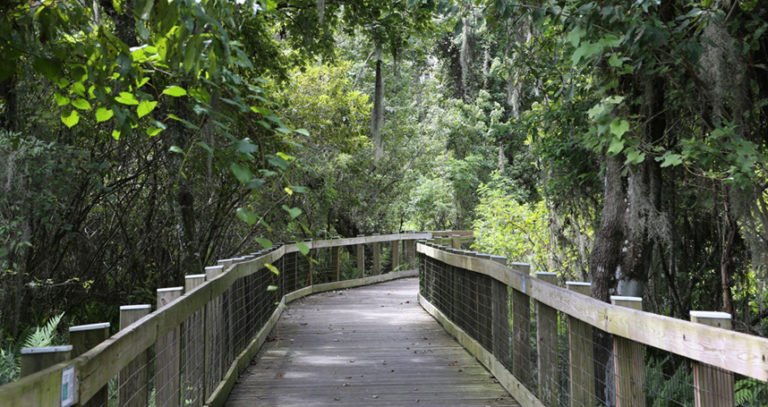 Secluded Hiking Spots in Orlando and Central Florida To Explore Together