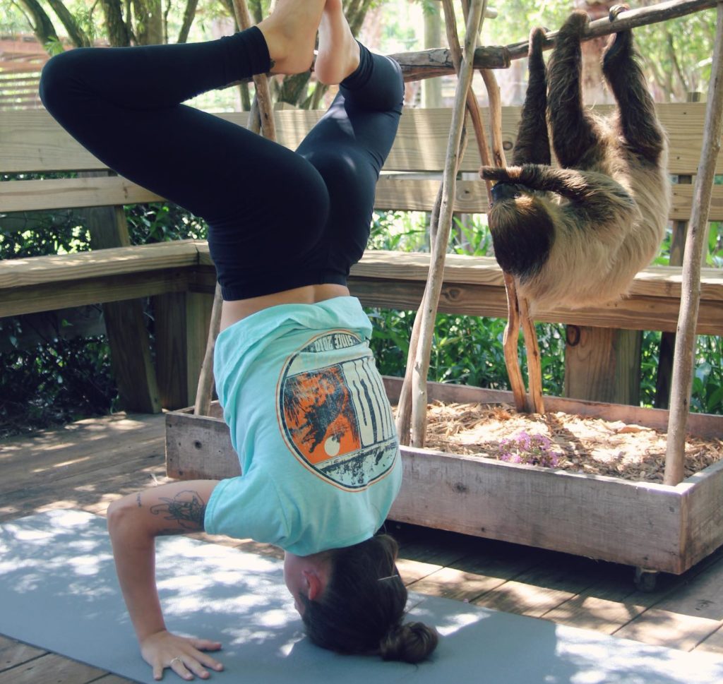 Sloth Yoga at Wild Florida