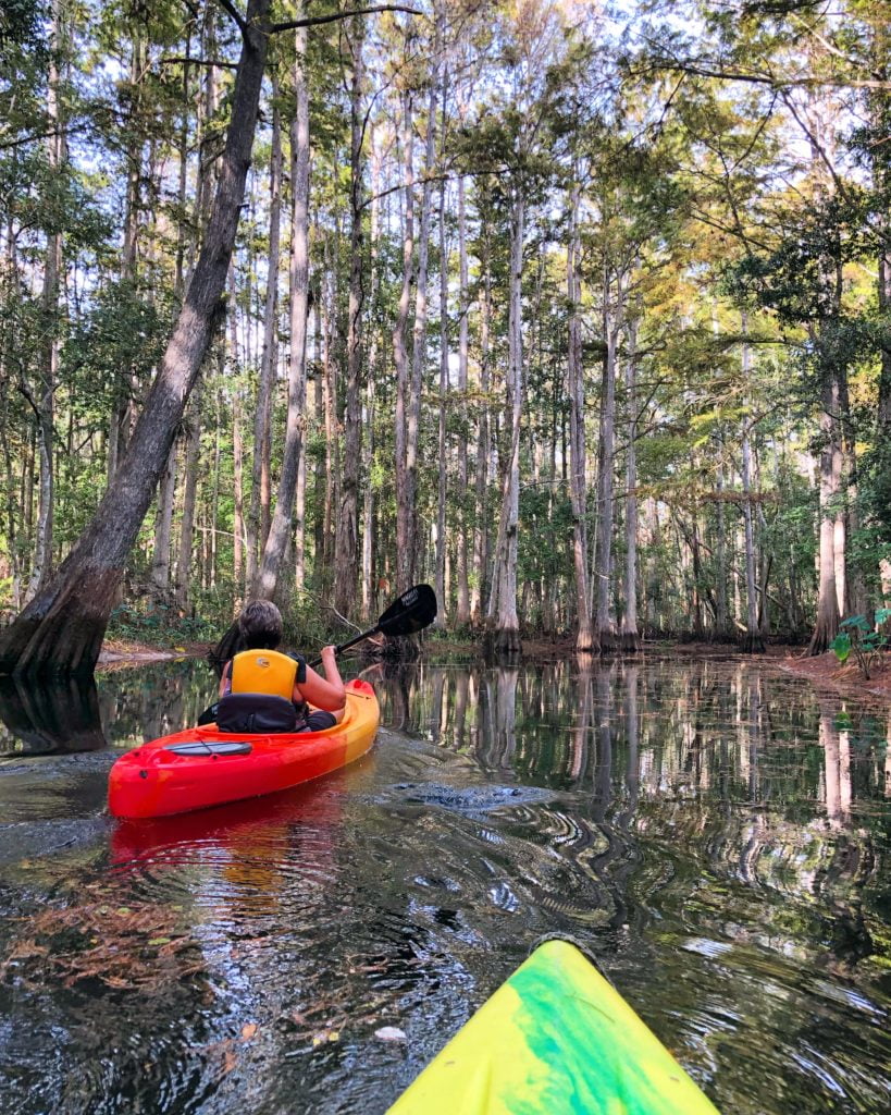 Kayaking Shingle Creek at The Paddling Center in Kissimmee