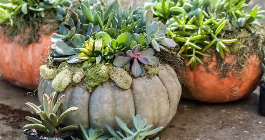 Orlando Workshops + Classes - October 2019