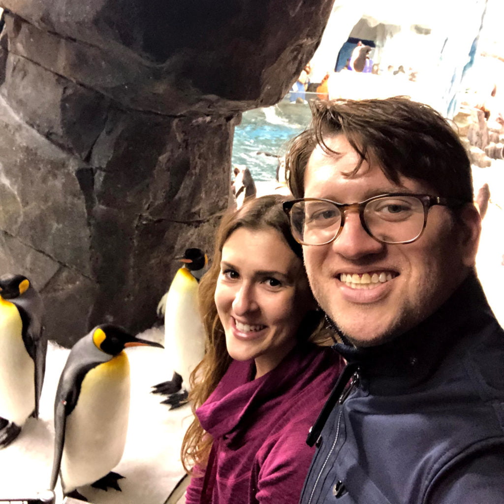 Penguin Encounter tour at SeaWorld Orlando