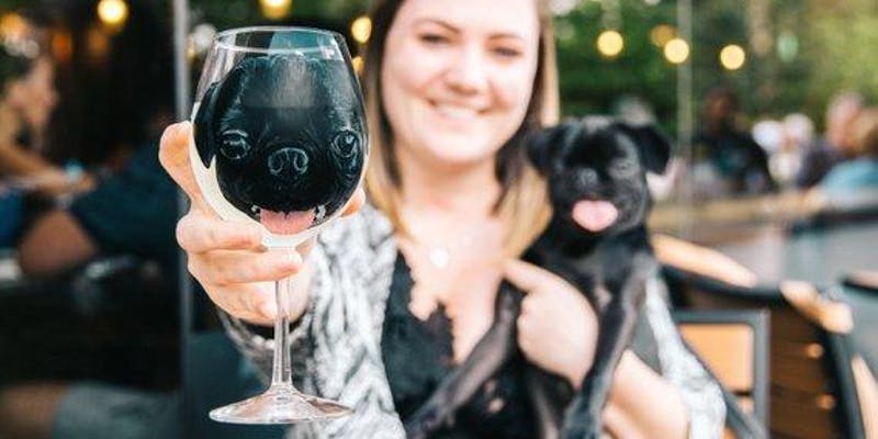 Orlando Workshops and Classes for Couples and Girls Night - November 2019