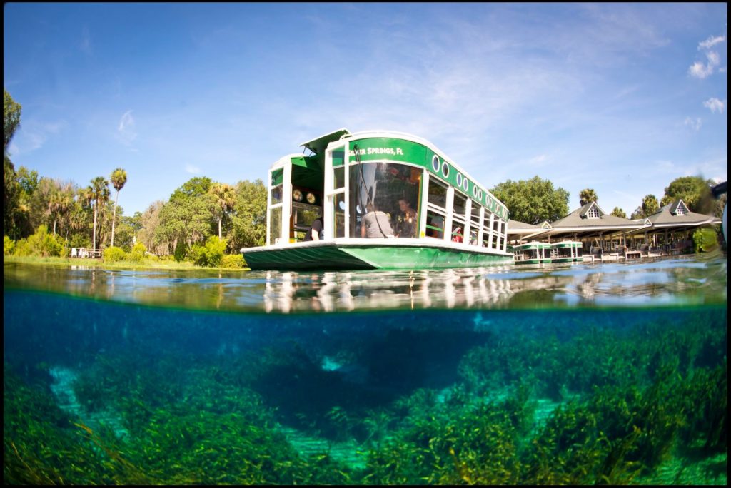 Ocala glass bottom boat tour at Silver Springs