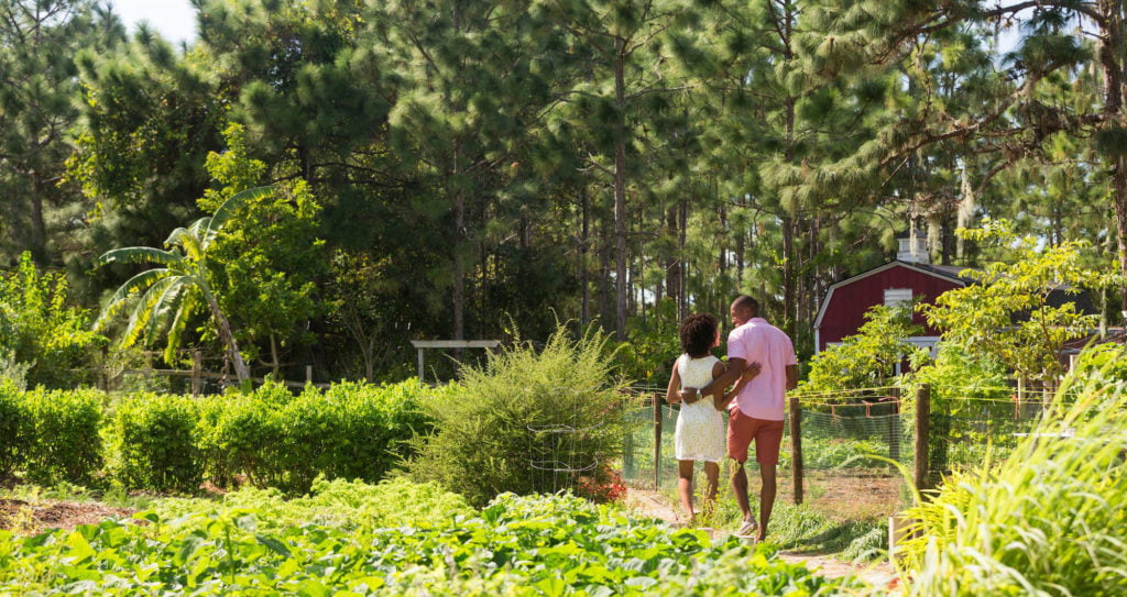 20+ Relaxing Things to Do Thanksgiving Weekend in Orlando
