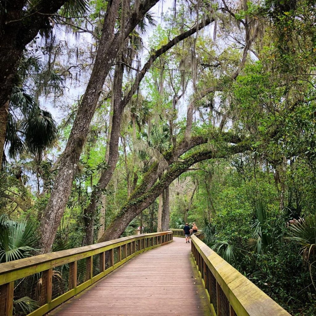 Boardwalk at Blue Spring State Park