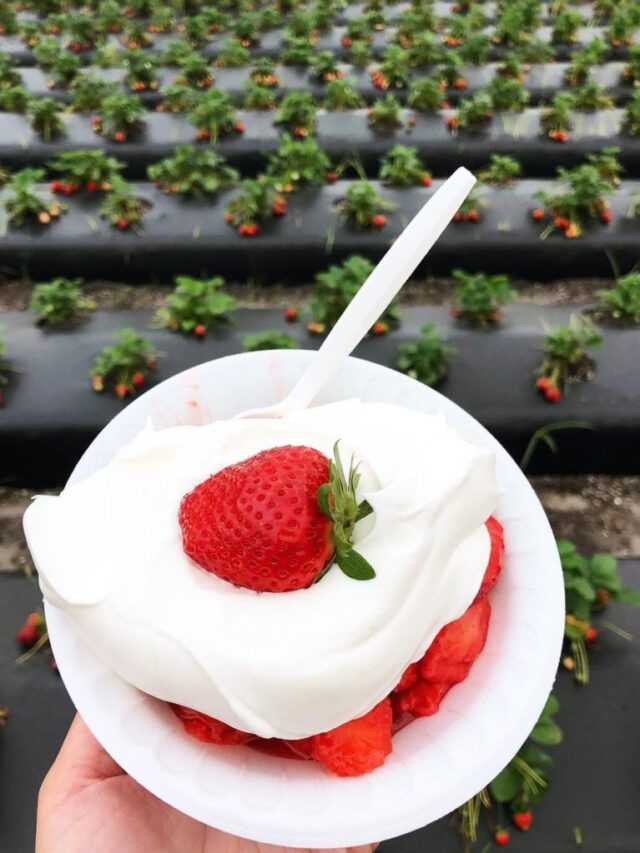 Celebrate National Strawberry Day in Orlando