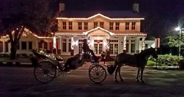 Holiday Horse Drawn Christmas Carriage Rides in Orlando
