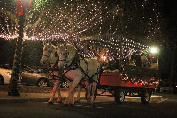 Holiday horse drawn carriage rides