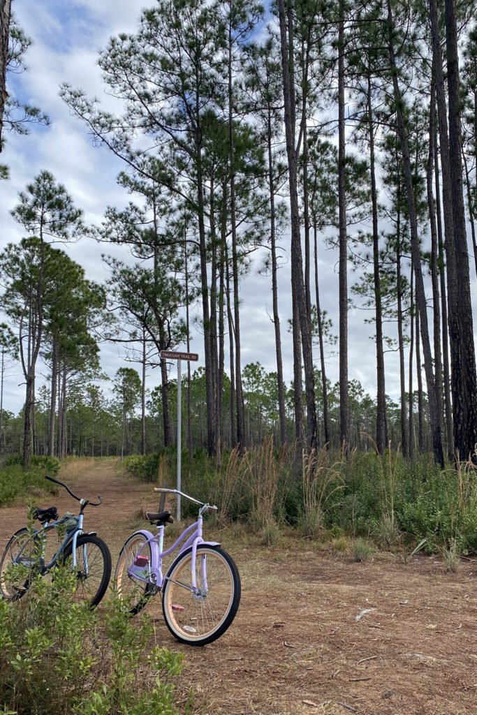 Bike Rentals at Hontoon Island State Park