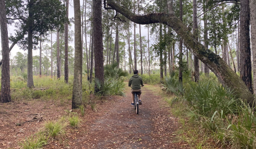 A Visit to Hontoon Island State Park: Central Florida's Island Escape