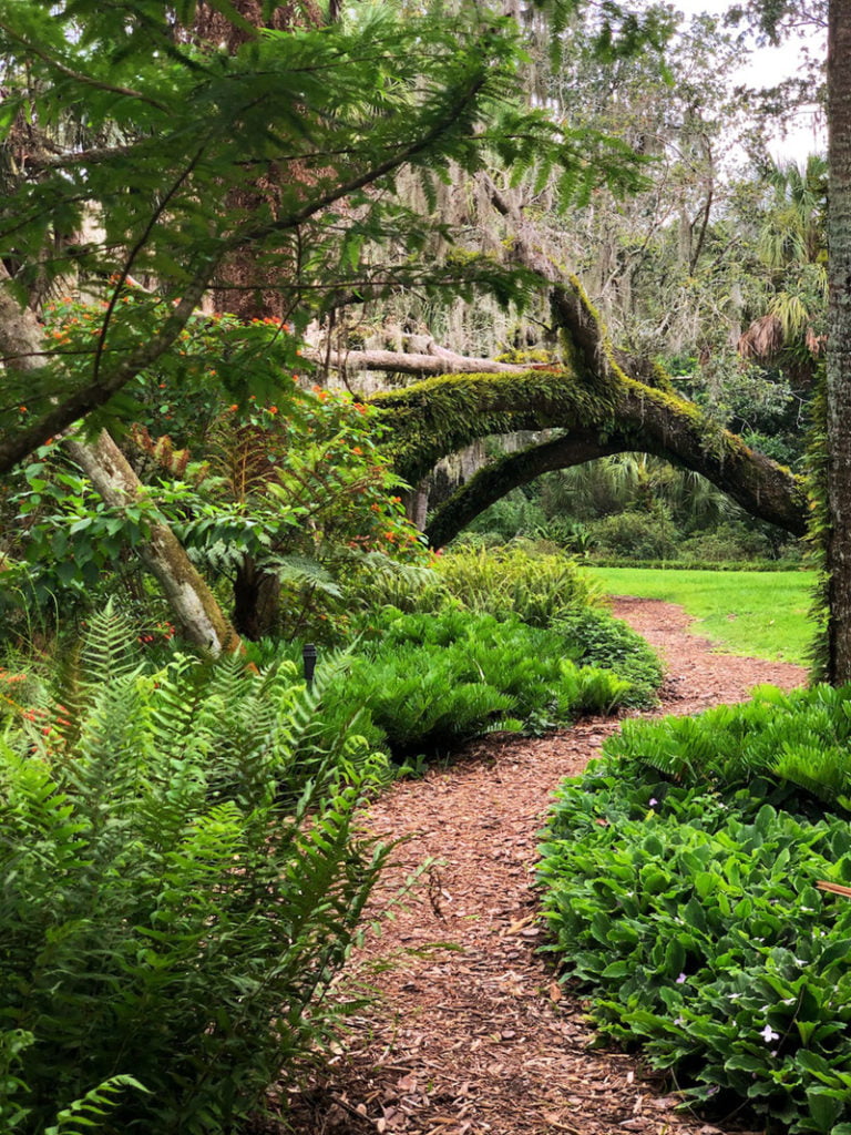 Bok Tower Gardens path