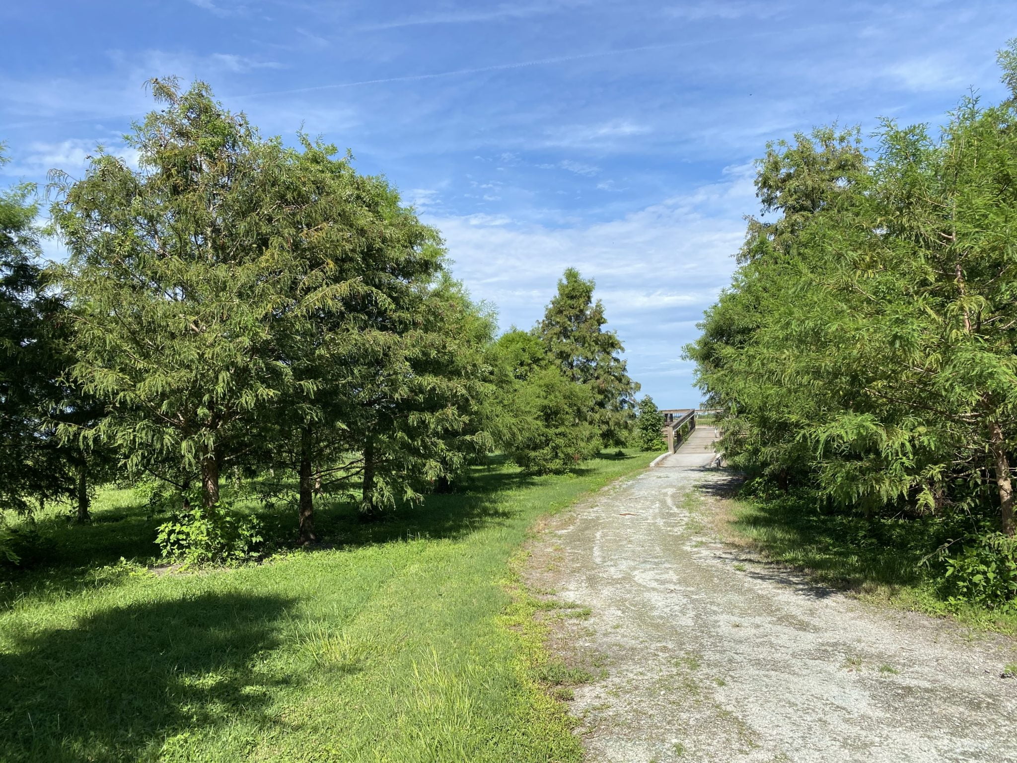 Theme Park Alternative Nature Parks Near Orlando's Theme Parks