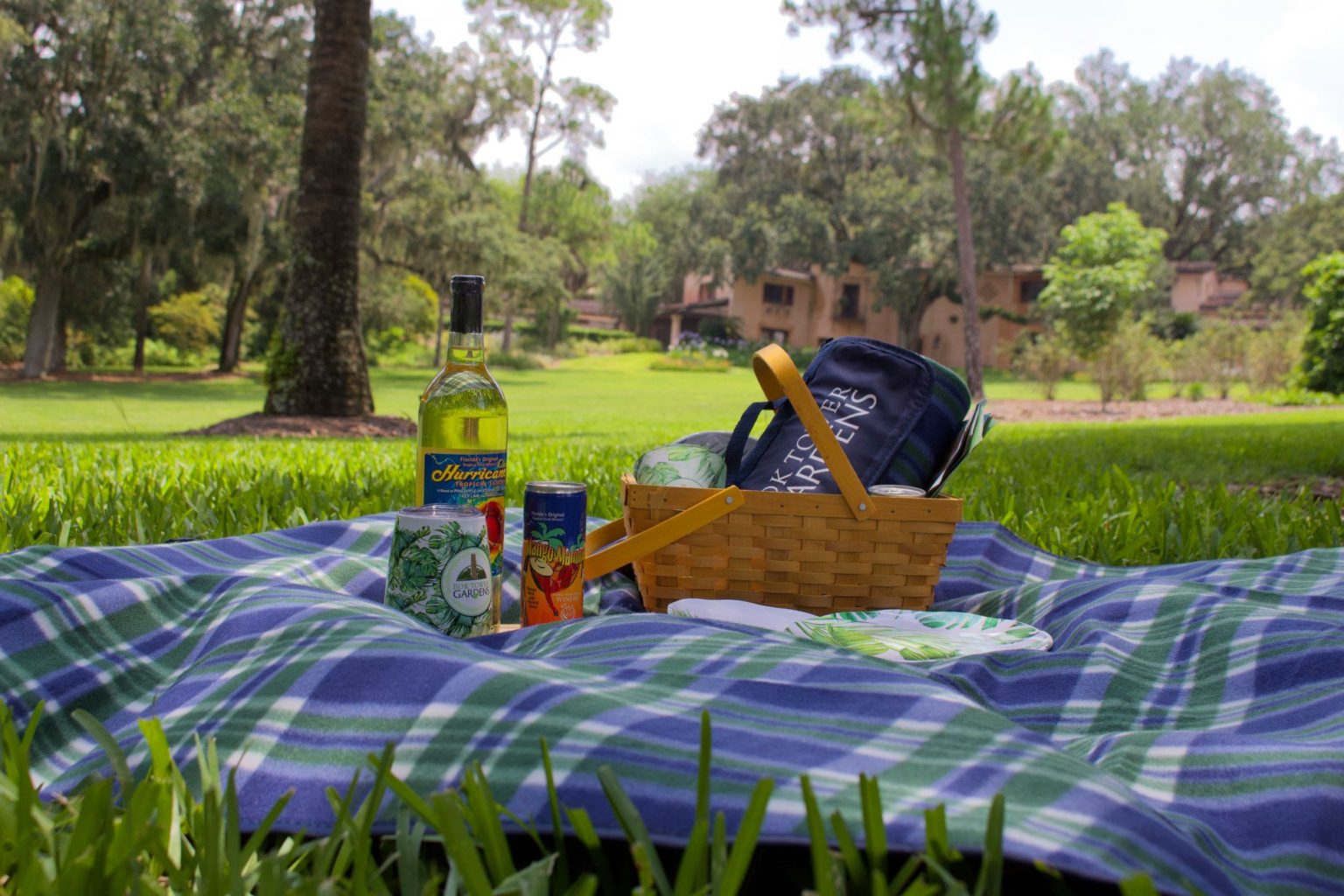 Everything You Need to Know to Plan a Romantic Orlando Picnic for Two