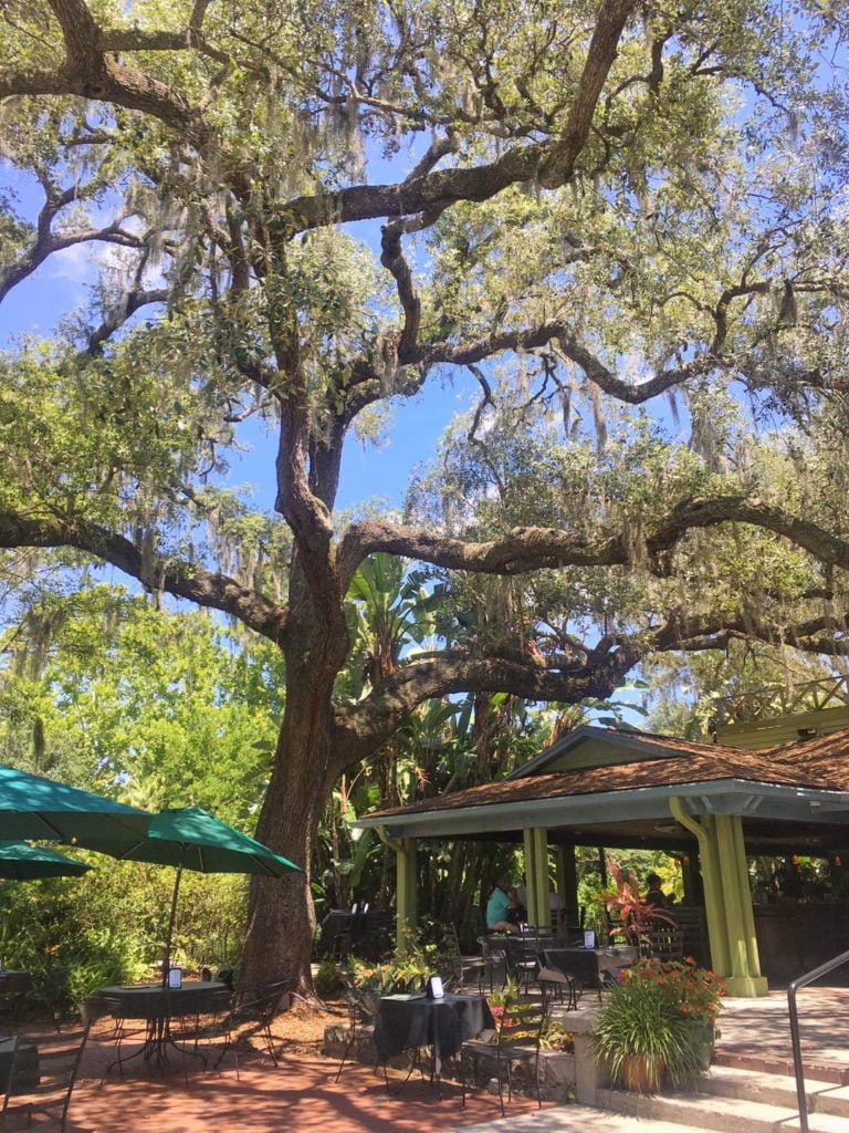 Eden Bar patio dining in Orlando