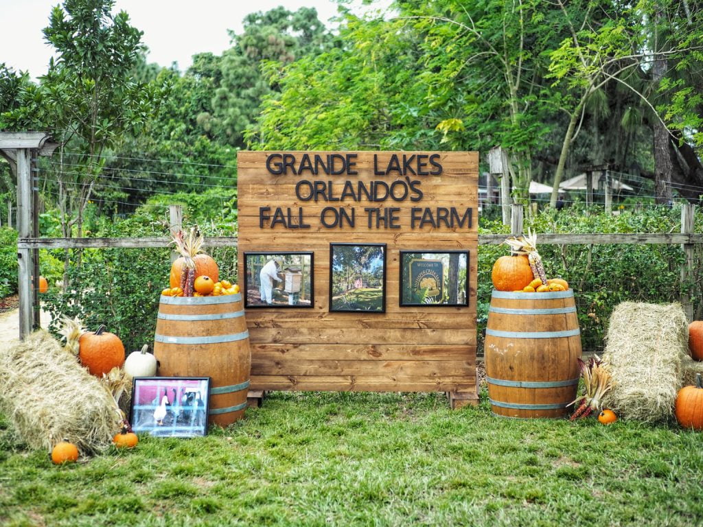 Fall on the Farm at Grande Lakes Orlando