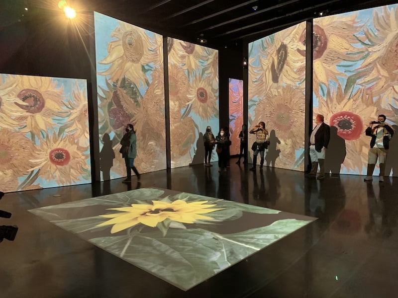 Van Gogh Alive exhibit in St Pete