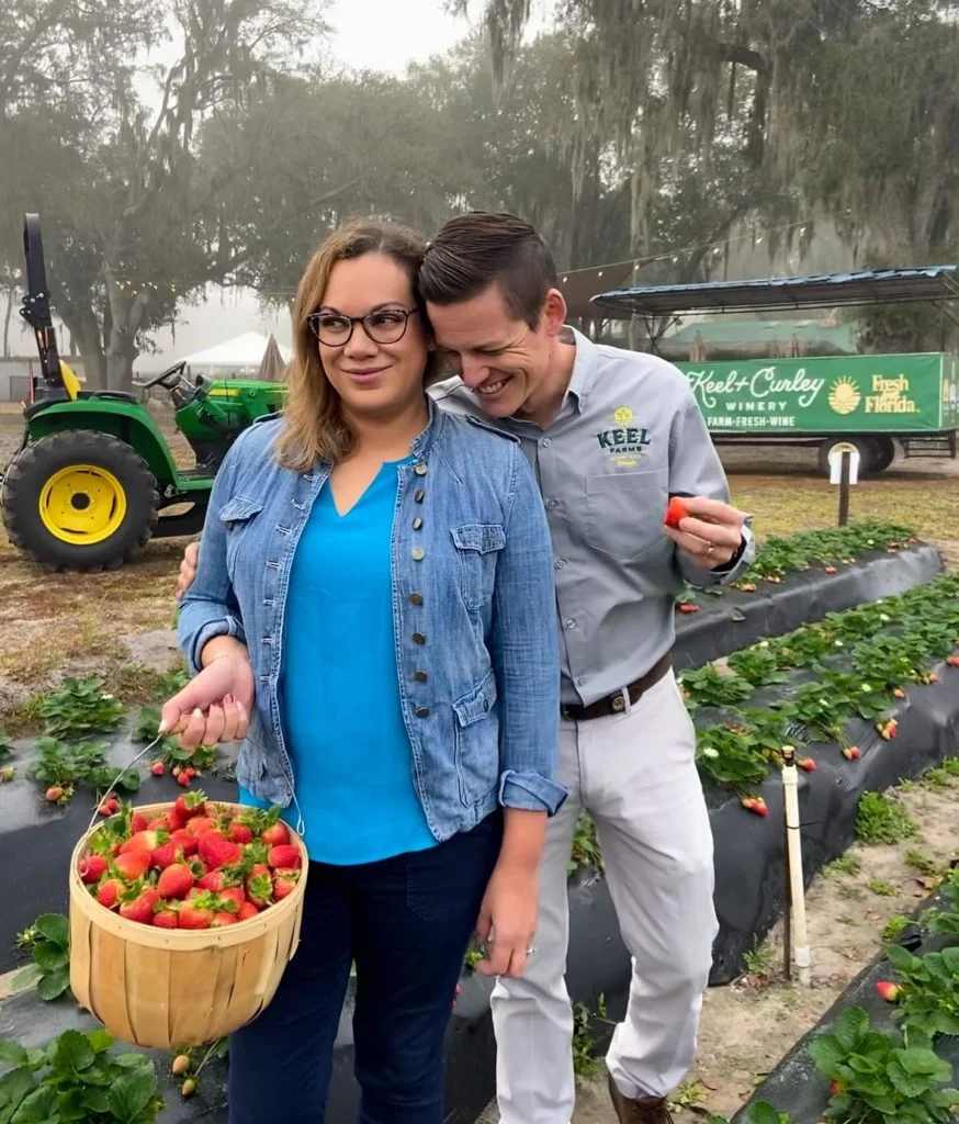 Strawberry u-pick at Keel Farms in Plant City, FL