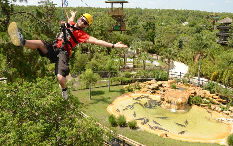 Screamin' Gator Zipline at Gatorland Orlando