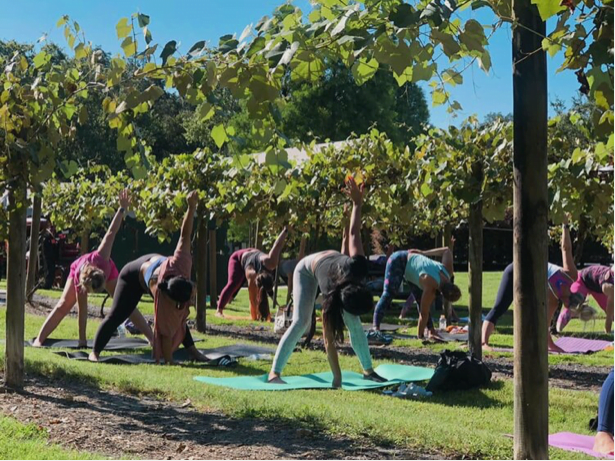 Yoga in the Vines at Keel Farms