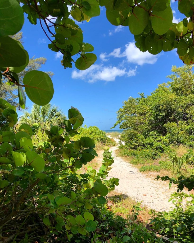 Pathway to the beach in Indian Shores, FL