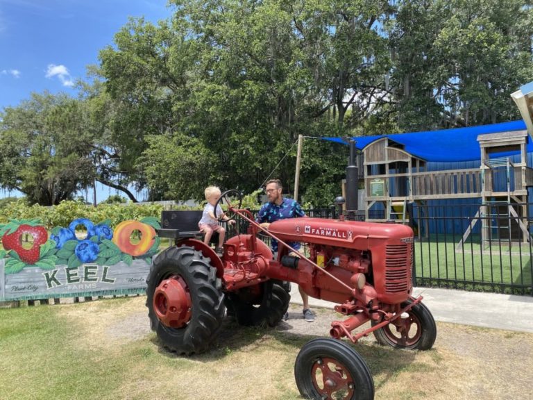 Day Trip to Keel Farms in Plant City for Wine, Craft Beer and More
