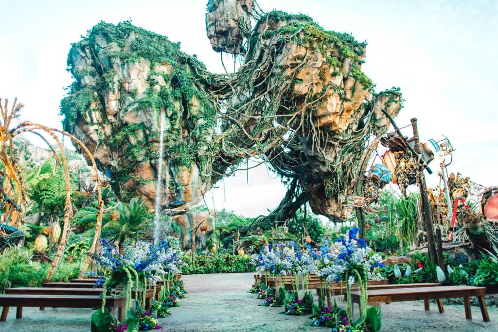 Couples can now celebrate a sunrise wedding ceremony in a beautiful land inspired by the power and the majesty of nature. Disney's Fairy Tale Weddings offers couples the chance to exchange vows beneath the floating mountains in the Valley of Mo’ara on Pandora - The World of Avatar at Disney's Animal Kingdom. Disney’s Fairy Tale Weddings offers a variety of epic wedding venues at Disney destinations around the globe. (Disney)