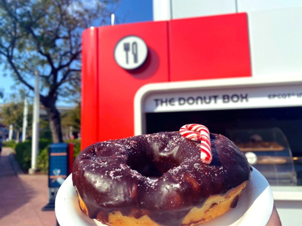 Chocolate Peppermint Donut at The Donut Box 2022